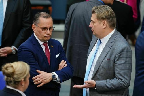AfD verteilt Ausschüsse im Bundestag: Radikale bekommen, was sie wollen