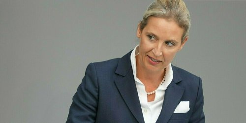 Verfahren gegen Weidel eingestellt