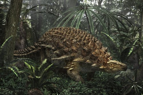 Kinder fragen, die taz antwortet: Welche Farbe hatte die Haut von Dinos?