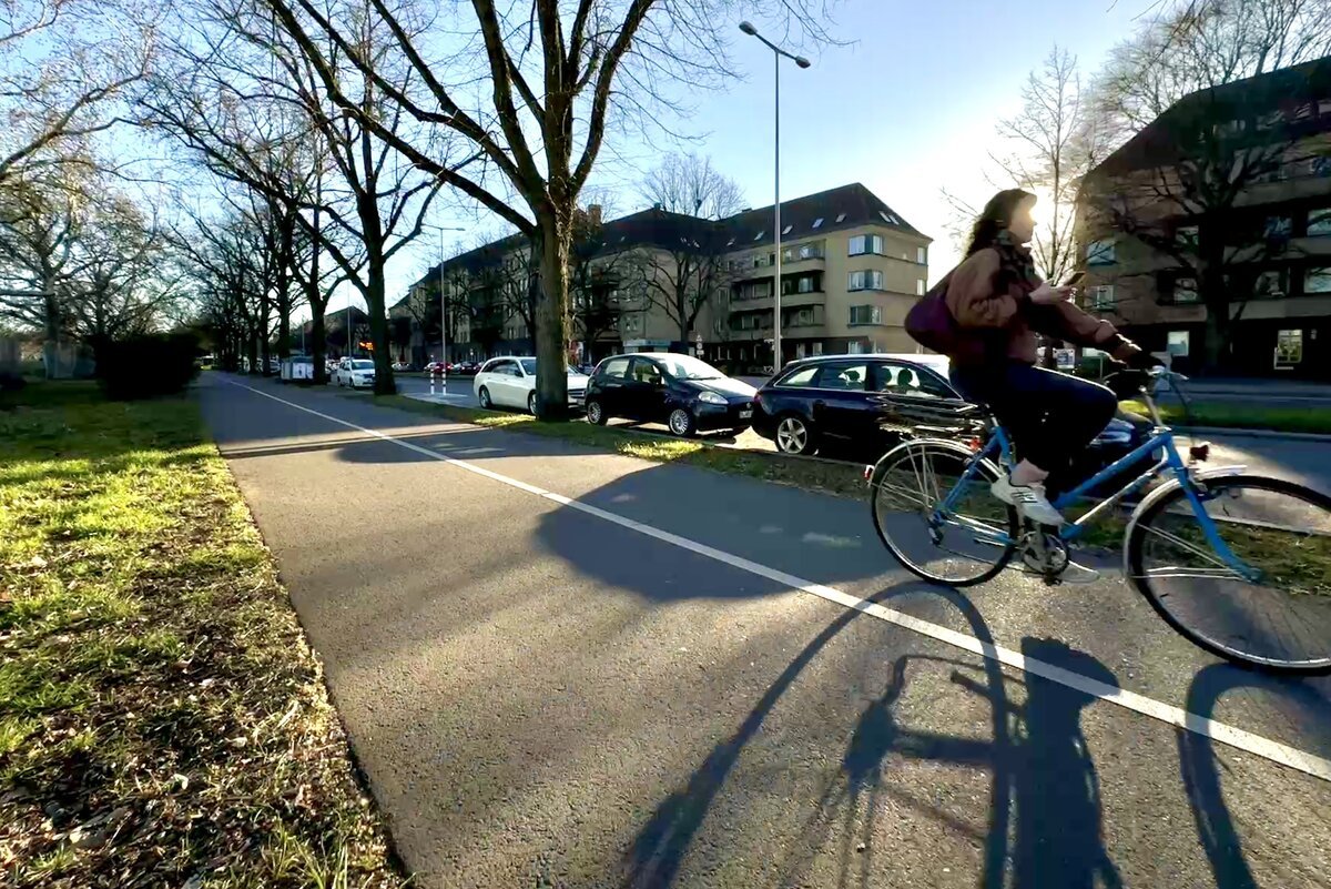 Jetzt droht 160 Bäumen der Garaus