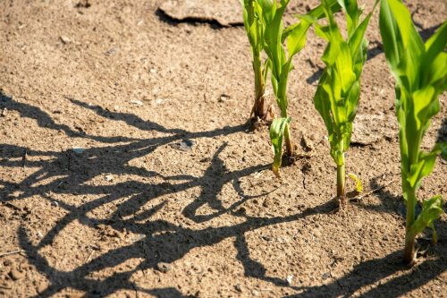 Klimapolitik unter neuen Vorzeichen