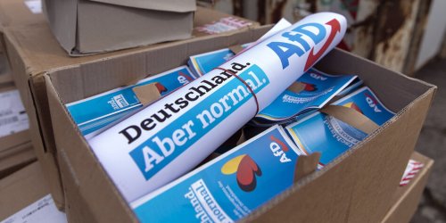 Der seriöse Anstrich blättert ab