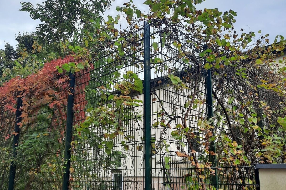 Nichtbeachtung des Haasenburg-Leids: Und weiter wächst das Gras darüber
