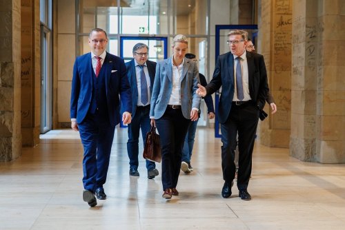 Vorsitz der Bundestags-Ausschüsse: Die AfD geht wohl leer aus
