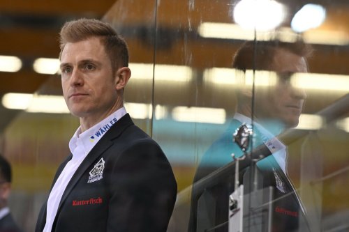 Fischtown Pinguins sehen kein Land