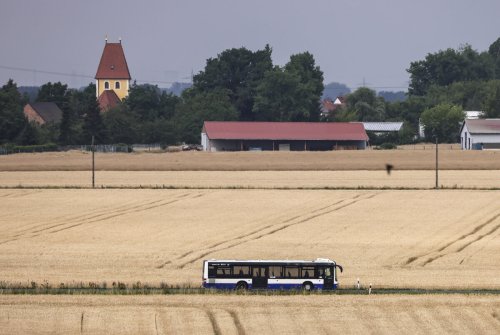 Enttäuschte Wünsche bei der Schulwahl: Seid froh, dass ihr überhaupt zur Schule gehen dürft