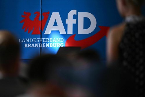 Rechtsextremismus: Landesverfassungsschutz setzt AfD-Hochstufung vorerst aus