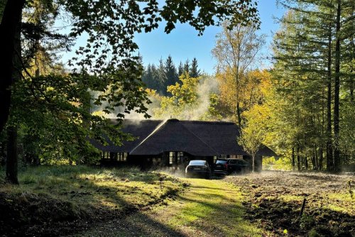 ZDF-Recherche zu Steuerparadies im Wald: Dem Grafen, was des Grafen ist