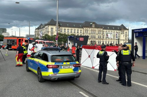 Hamburger Hauptbahnhof: Mehrere Schwerverletzte nach Messerangriff
