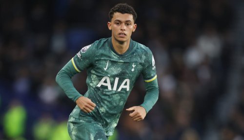 'I could hear': Brennan Johnson was shouting at £60m Tottenham teammate during Fulham defeat - journalist