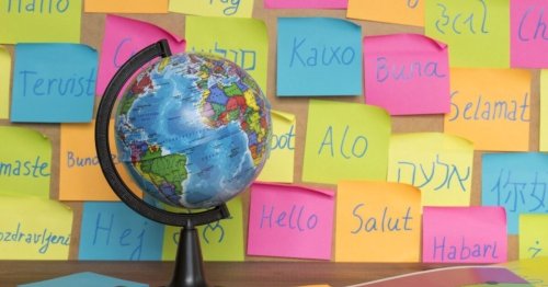 Valuing multilingual students' skills