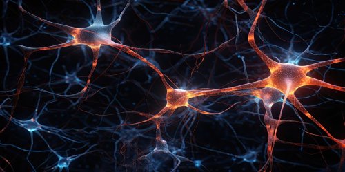 A Research Team Plans to Merge AI with Human Brain Cells