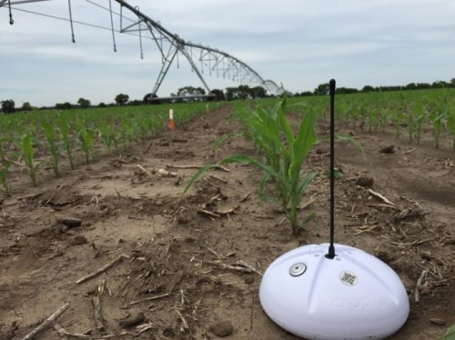 CropX Rakes In $9 Million To Help Farmers Grow More With Less Water