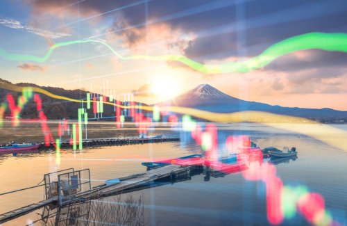 In Japan, the robot isn't coming for your job