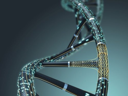 MIT engineers human cells to store ‘memories’ in DNA