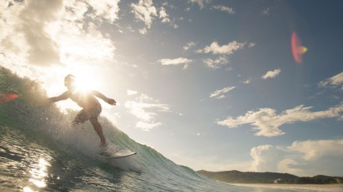 Open social web browser Surf makes it easier for anyone to build custom feeds