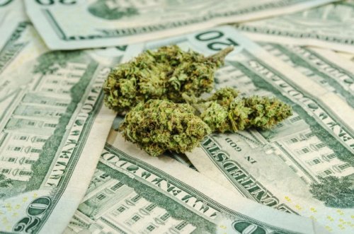 The ‘Costco of cannabis’ raises $2.8 million for a membership weed delivery service