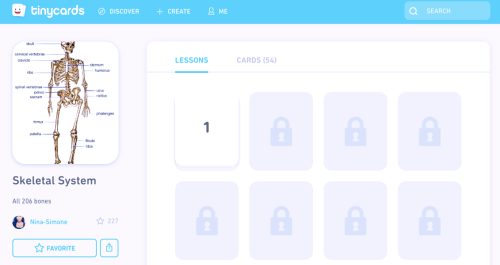 Duolingo brings Tinycards to the web
