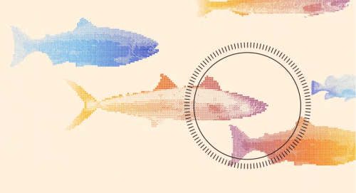 How do you know if a fish is stressed out?