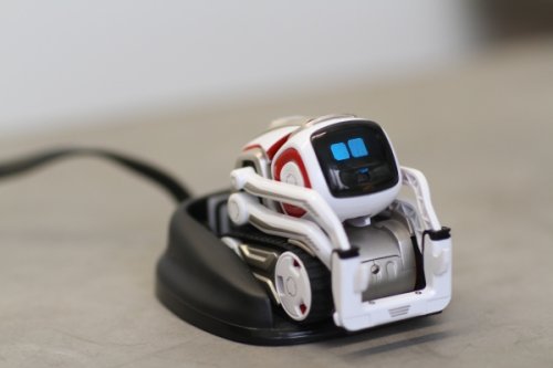 The owner of Anki's assets plans to relaunch Cozmo and Vector this year