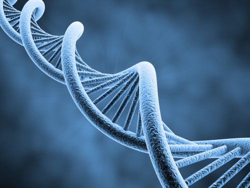 The Genome Engineering Revolution