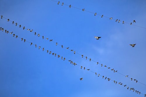 Beyond Bluesky: These are the apps building social experiences on the AT Protocol