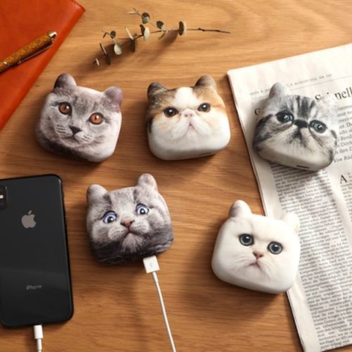 Cat Head Chargers: For Purring up Your Gadgets