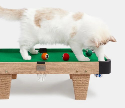 A Pool Table Toy for Cats: Playing 8 Ball with 9 Lives