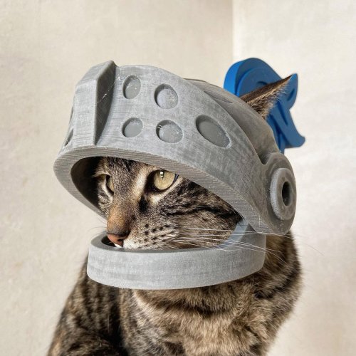 This Guy Makes Helmets for His Cat