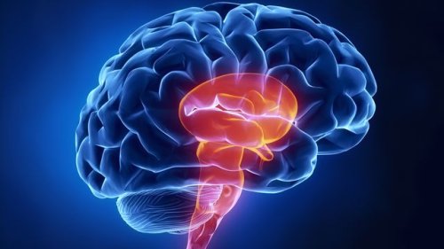 How ADHD and Obesity Are Linked – And Why City Living Might Help