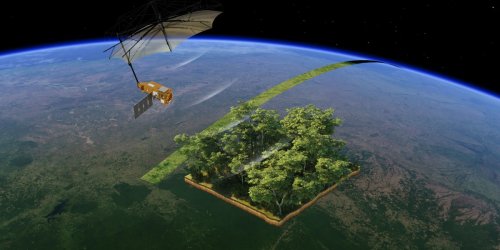 The world’s biggest space-based radar will measure Earth’s forests from orbit