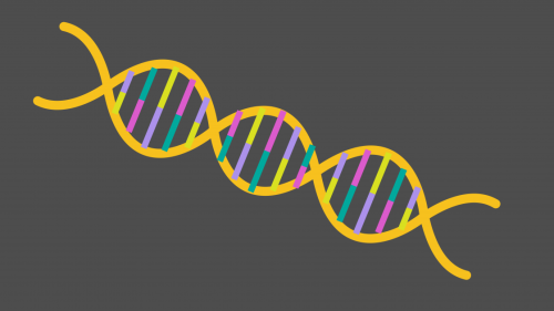 Biotechniques cover image