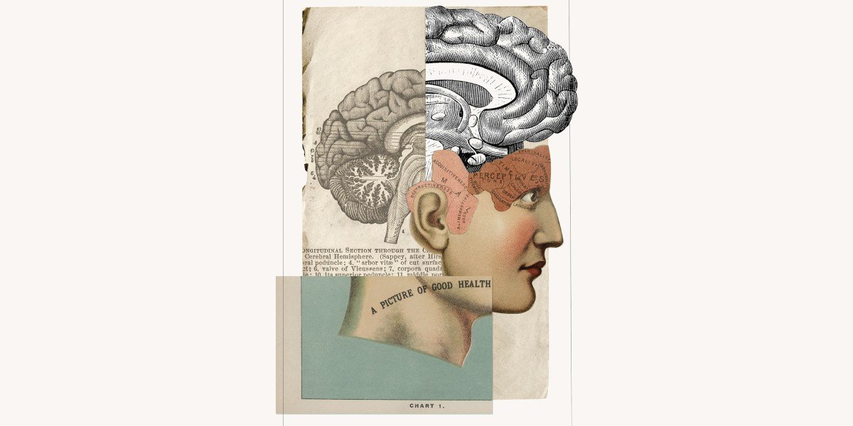 The miracle molecule that could treat brain injuries and boost your fading memory