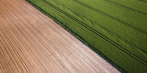 Sorry—organic farming is actually worse for climate change