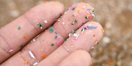 Microplastics are everywhere. What does that mean for our immune systems?