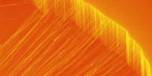 A nanotube material conducts heat in just one direction