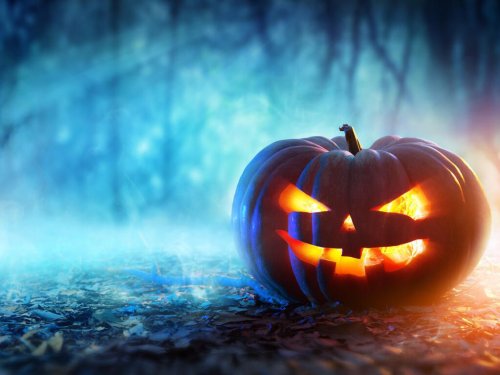 Photos: Trick or treat: The 13 best Zoom backgrounds for Halloween