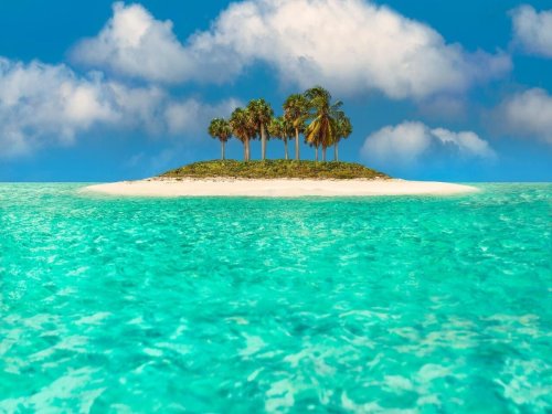 Beach Zoom backgrounds and tropical locales to help you pretend like you're on vacation