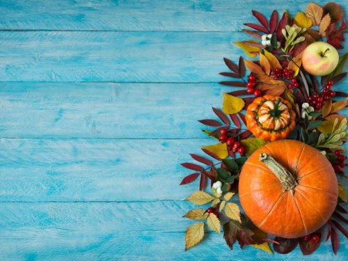 Photos: Thanksgiving Zoom backgrounds to boost the virtual festivities from afar