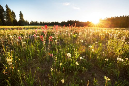 Spotlight on AI This Earth Day: 'AI Is Fundamentally Incompatible With Environmental Sustainability’