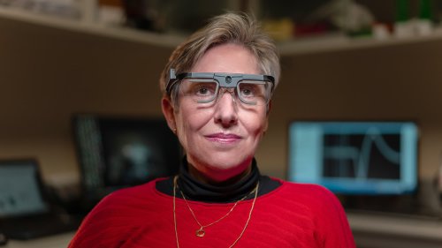 Researchers bypass optic nerve, deliver images directly to blind woman's brain