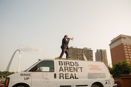 'Birds Aren't Real' started as a joke, but its founders want serious change
