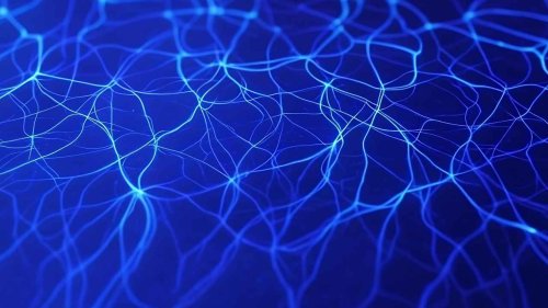 Yapay zekânın geleceğinde insan benzeri deneyimlerin rolü büyüyor