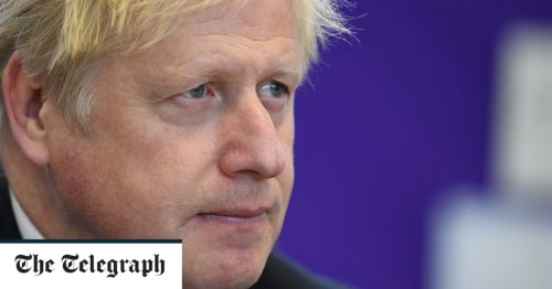 Boris Johnson tells local Tories he will stand again at the next general election