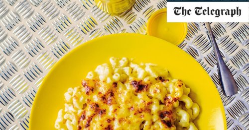 Cheddar, cider and mustard macaroni cheese
