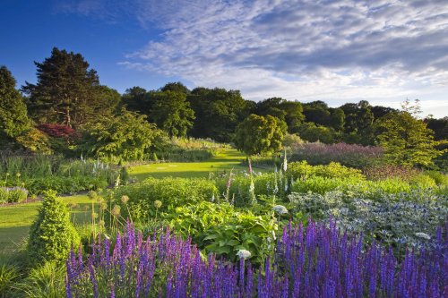 Gardens to visit in Yorkshire