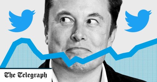 Can Elon Musk save Twitter from liberal narcissism?