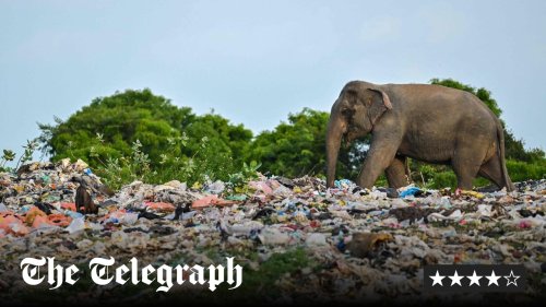Plastics are poisoning your body – and the effects are terrifying