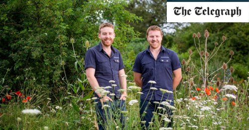 How to make your garden a haven for butterflies, with help from the 'Butterfly Brothers'