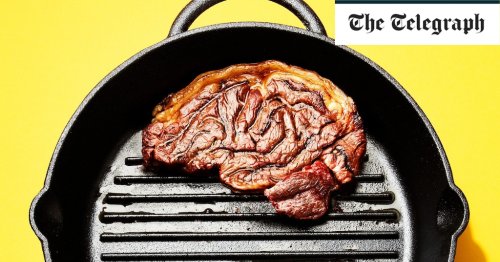 Why a healthy brain requires a meaty diet
